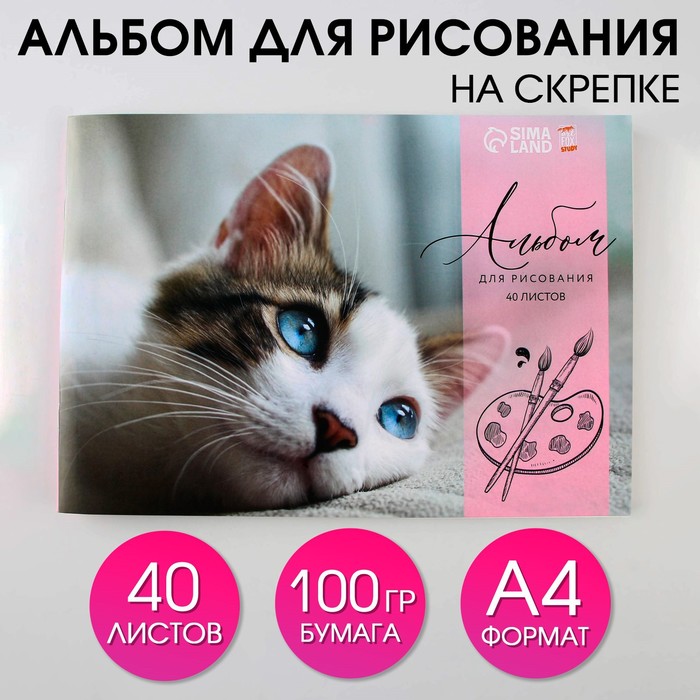 

Альбом для рисования на скрепках А4 40 л Котёнок бумага 100 г/м2 2шт