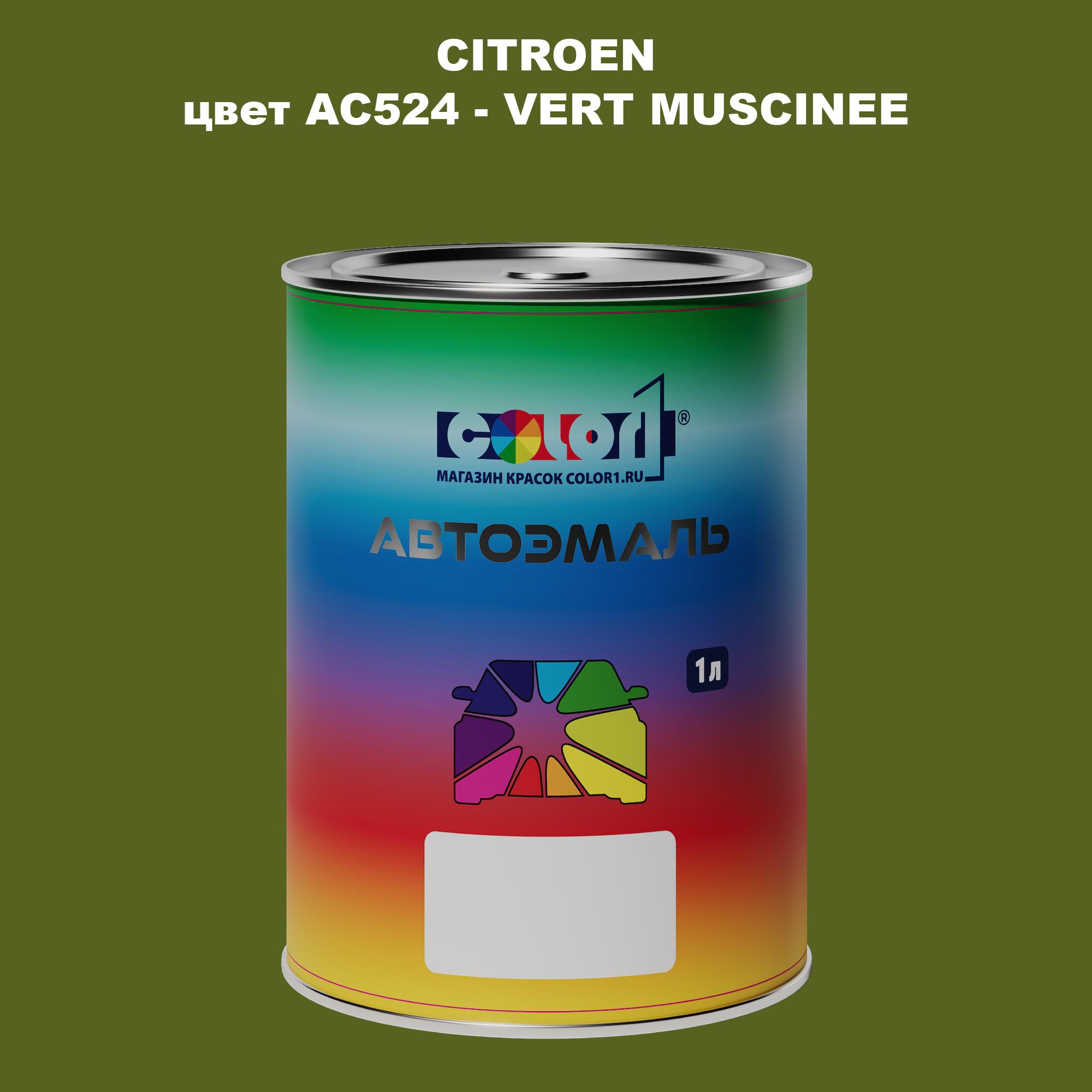 

Автомобильная краска COLOR1 для CITROEN, цвет AC524 - VERT MUSCINEE, Прозрачный