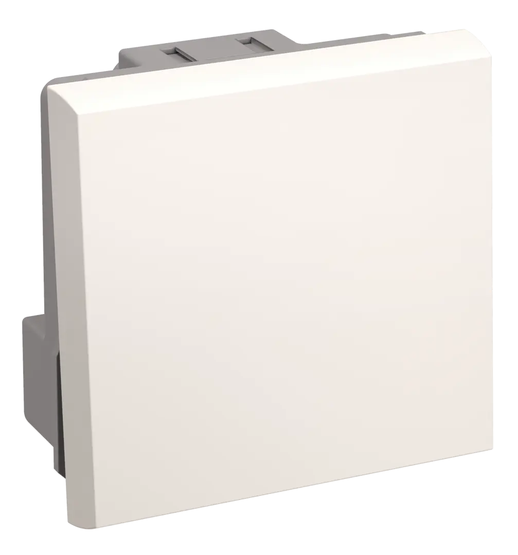 Выключатель 1 клавиша на 2 модуля, цвет белый рамка суппорт dkc avanti 2 модуля цвет белый