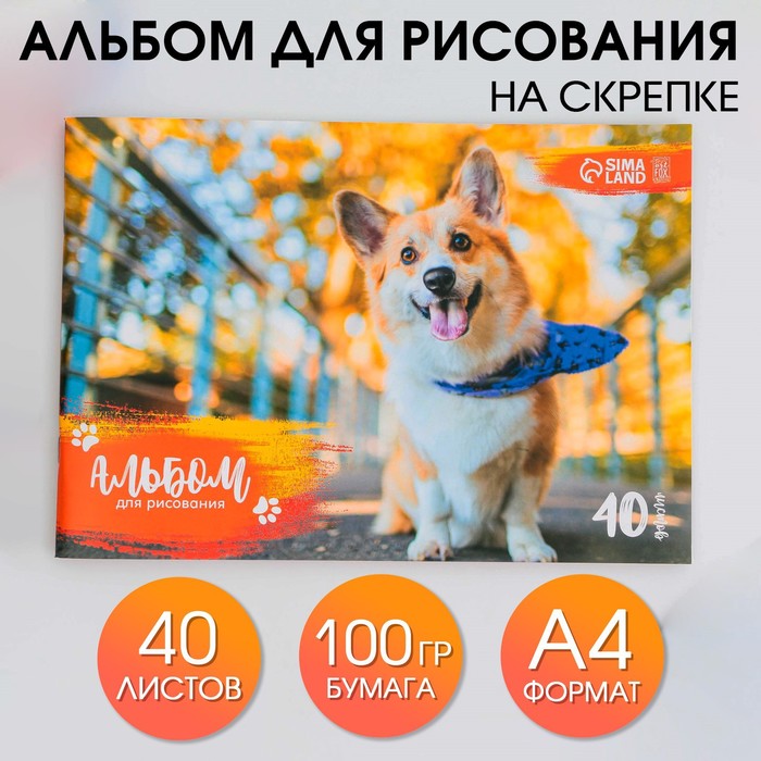 

Альбом для рисования на скрепках А4 40 л Корги бумага 100 г/м2 2шт