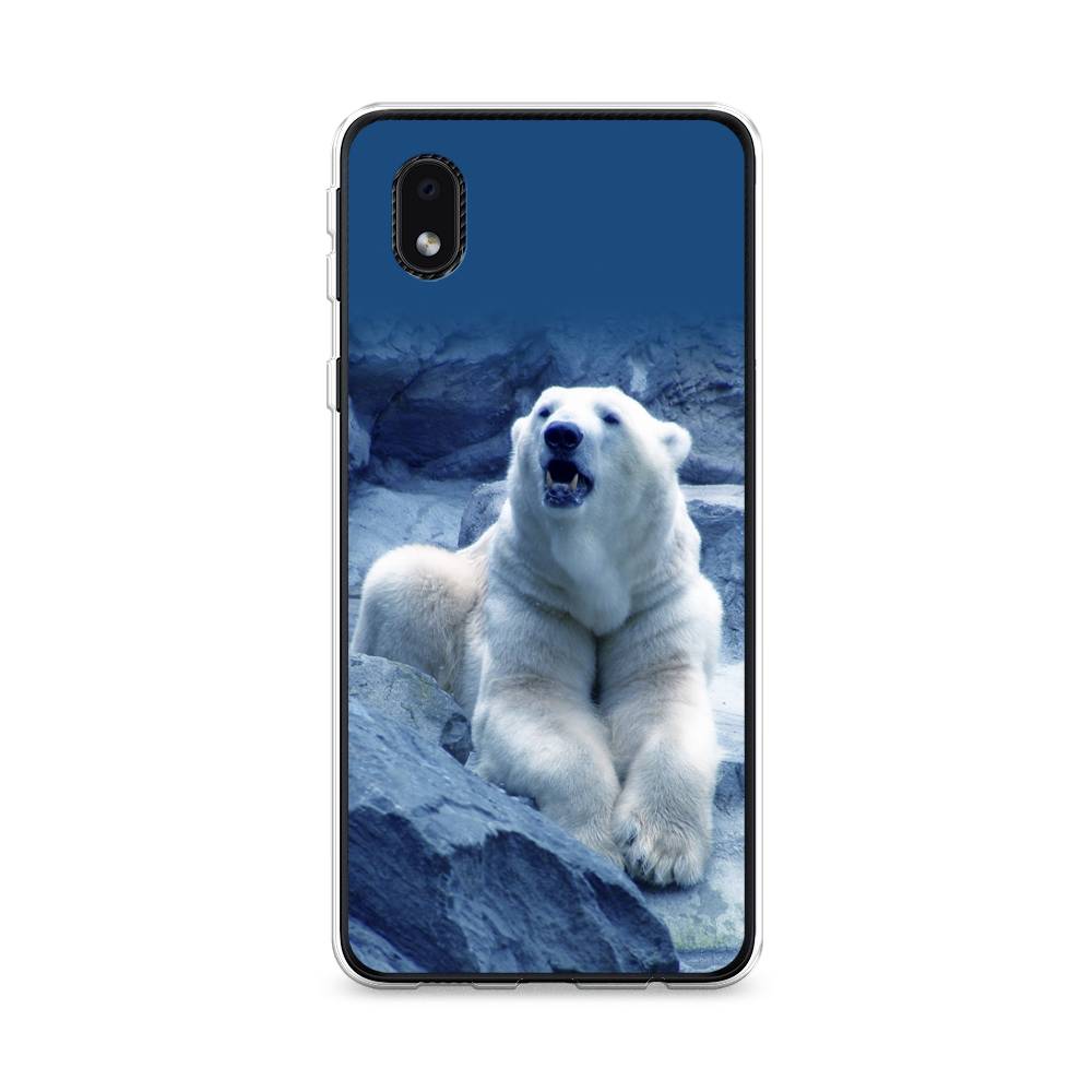 

Чехол на Samsung Galaxy A01 Core "Белый медведь", Голубой;белый, 2101250-1