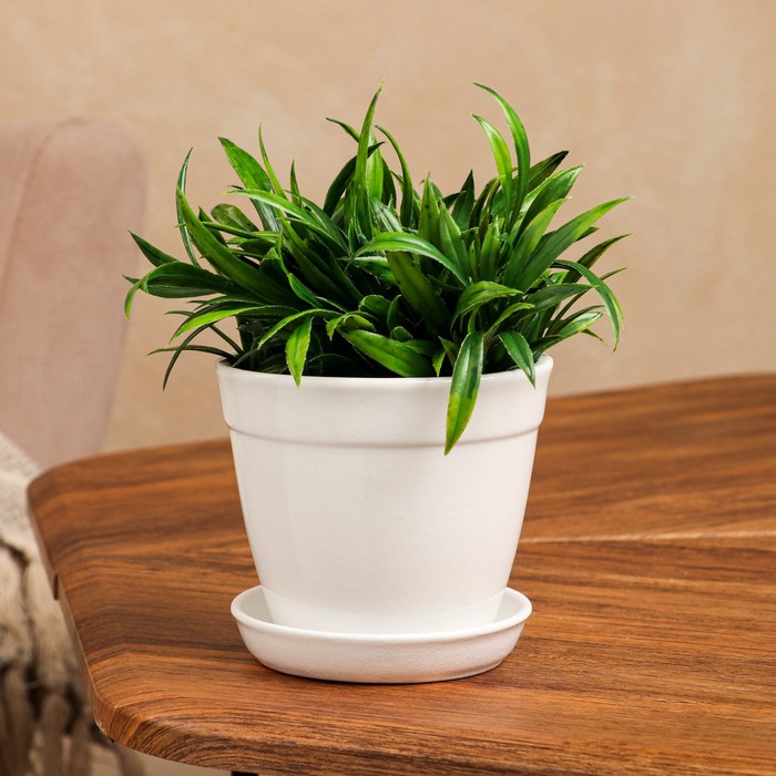 

Горшок для цветов "Глория", глянец, белый, керамика, 0.5 л, Горшки для цветов "Глория"