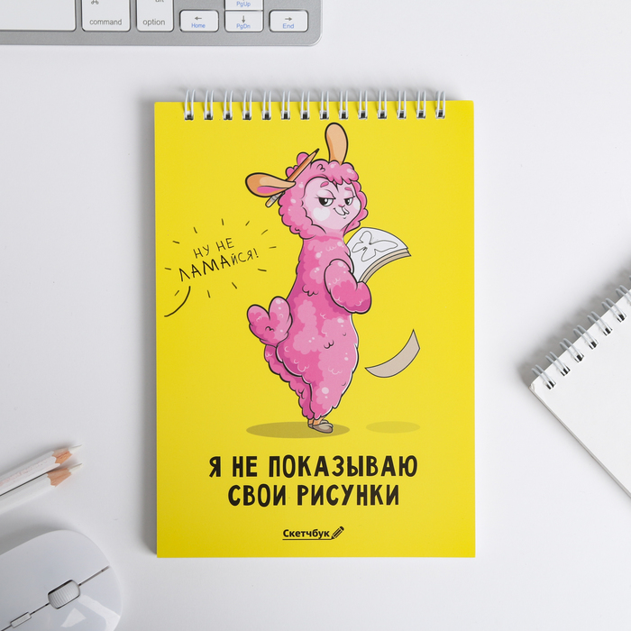 

Скетчбук ArtFox Я не показываю свои рисунки А5, 40 л, 100 г/м, 2шт