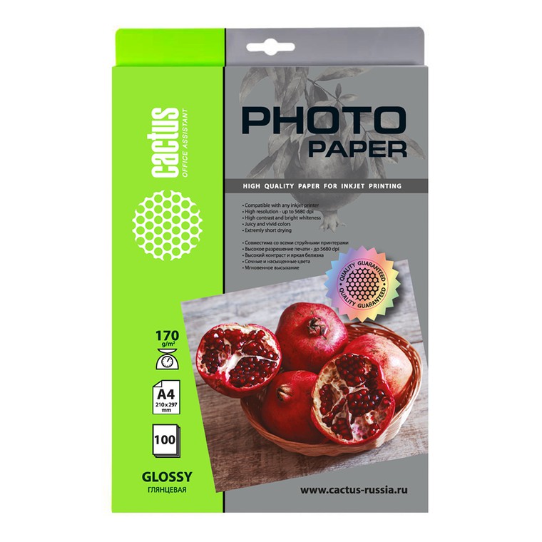 

Фотобумага A4 Cactus 170г/м2 100л CS-GA4170100 белый глянцевое для струйной печати