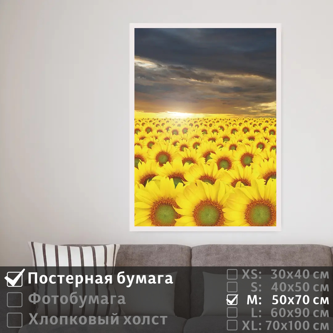 

Постер на стену ПолиЦентр Подсолнухи в сумерках под облаками 50х70 см, ПодсолнухиВСумеркахПодОблаками