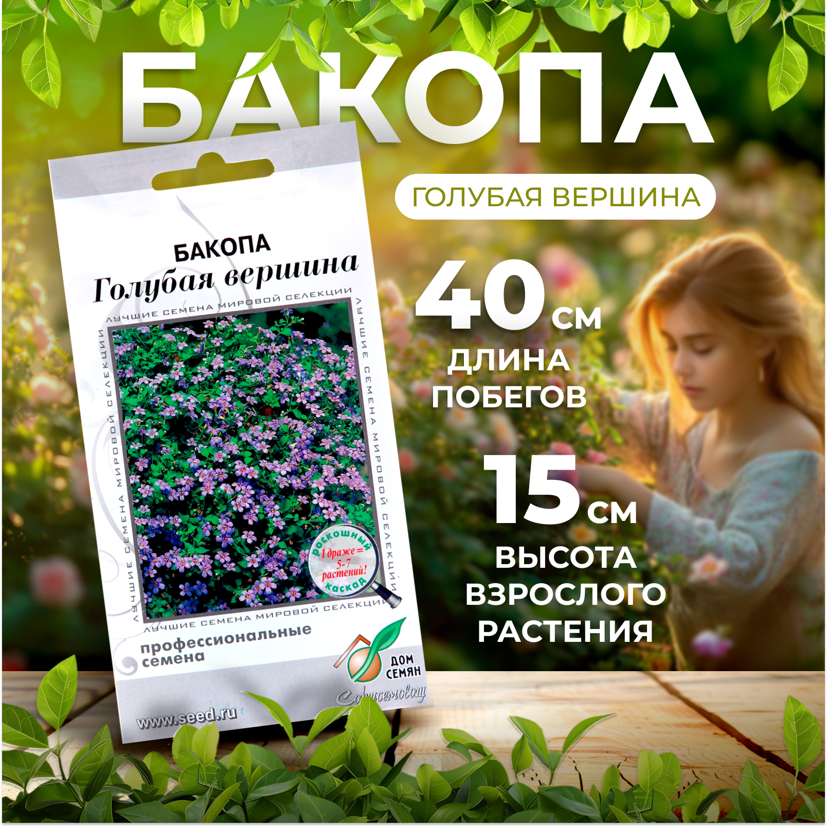 Семена цветов Бакопа Голубая вершина 3 шт 495₽