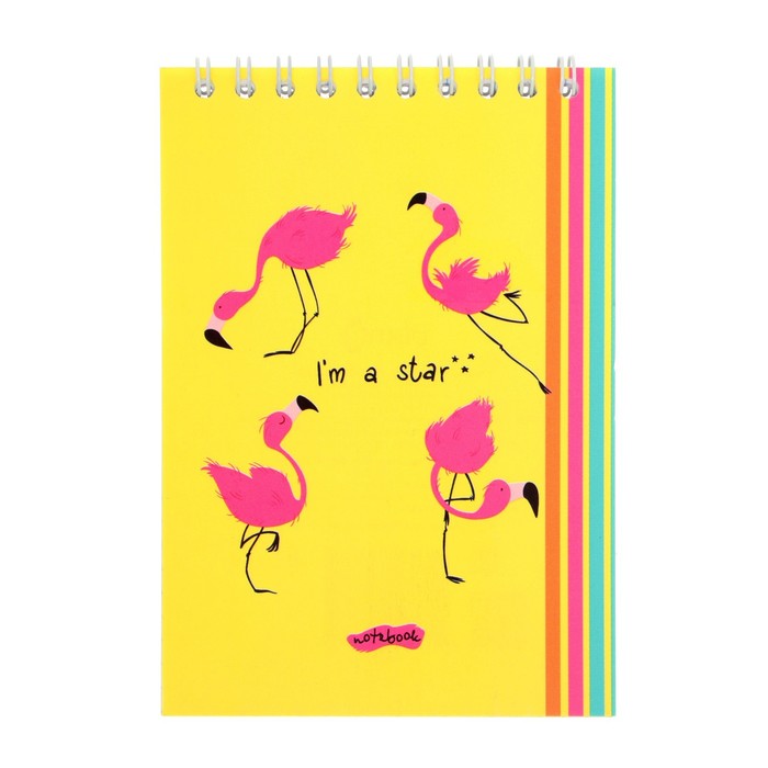 Блокнот Апплика 48л А6 Фламинго