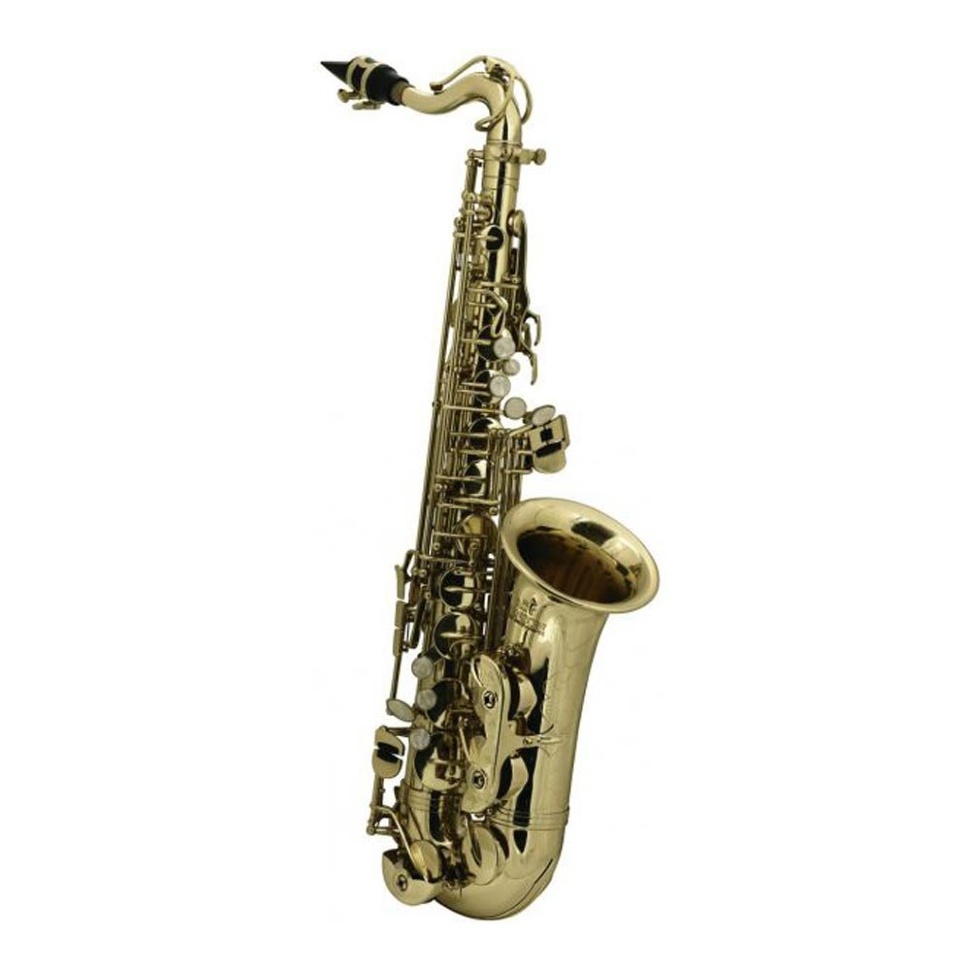 GU-26.03.15.60000 Чехол для гуслей Ладья 15стр., полужесткий, чёрный, Гусельник