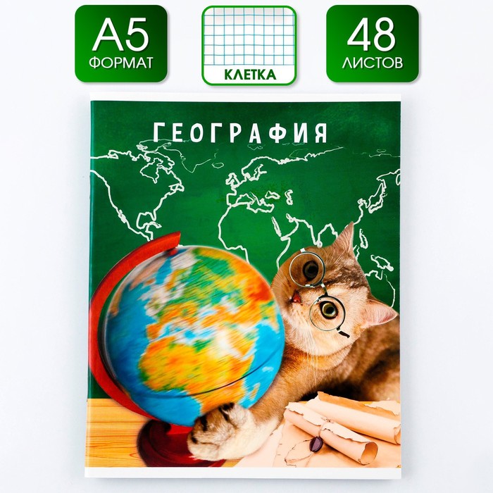 

Предметная тетрадь ArtFox STUDY Милые Питомцы География 48 листов А5 в клетку 4 шт
