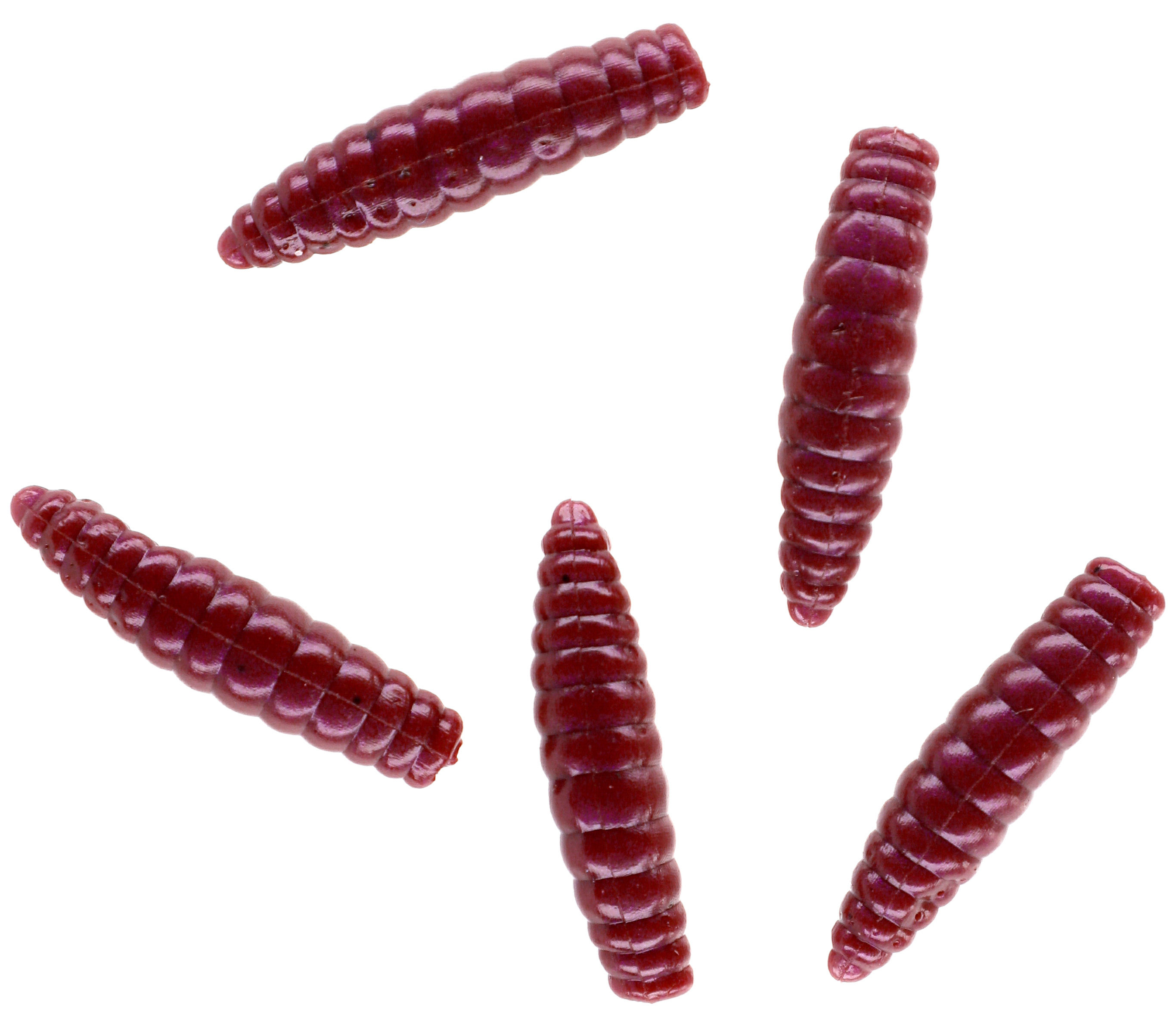 

Силиконовая приманка Mikado Trout Campione Fat Grub 26 мм 8 шт цвет rainworm, Красный, Trout Campione Fat Grub