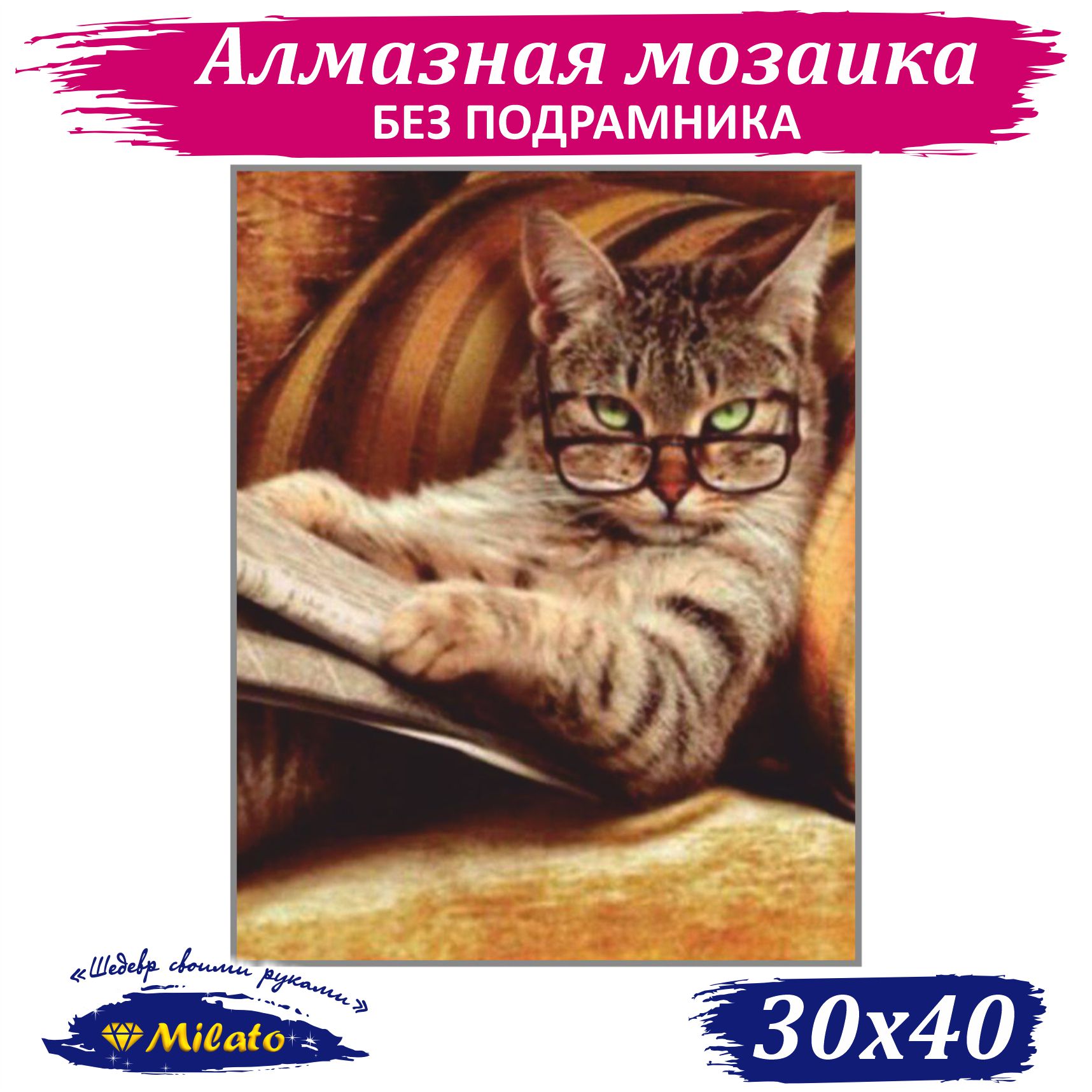 Алмазная мозаика маленькая Milato Книголюб F-154 30х40 см