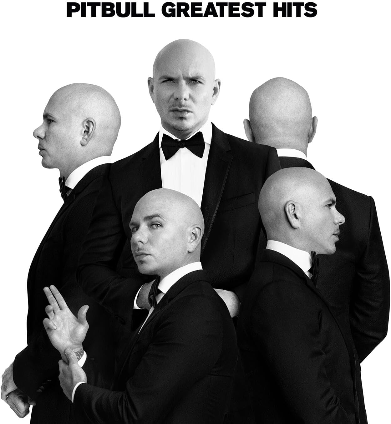

Pitbull Greatest Hits (LP)