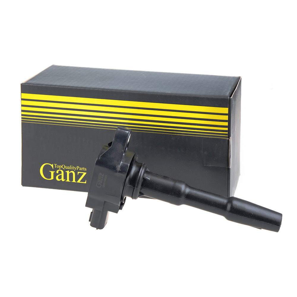 

Катушка зажигания Nissan QASHQAI/JUKE GIG16024