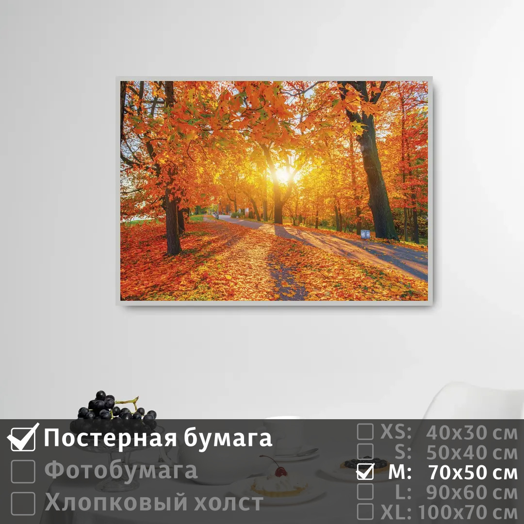 

Постер на стену ПолиЦентр Рассвет в осеннем парке 70х50 см, РассветВОсеннемПарке