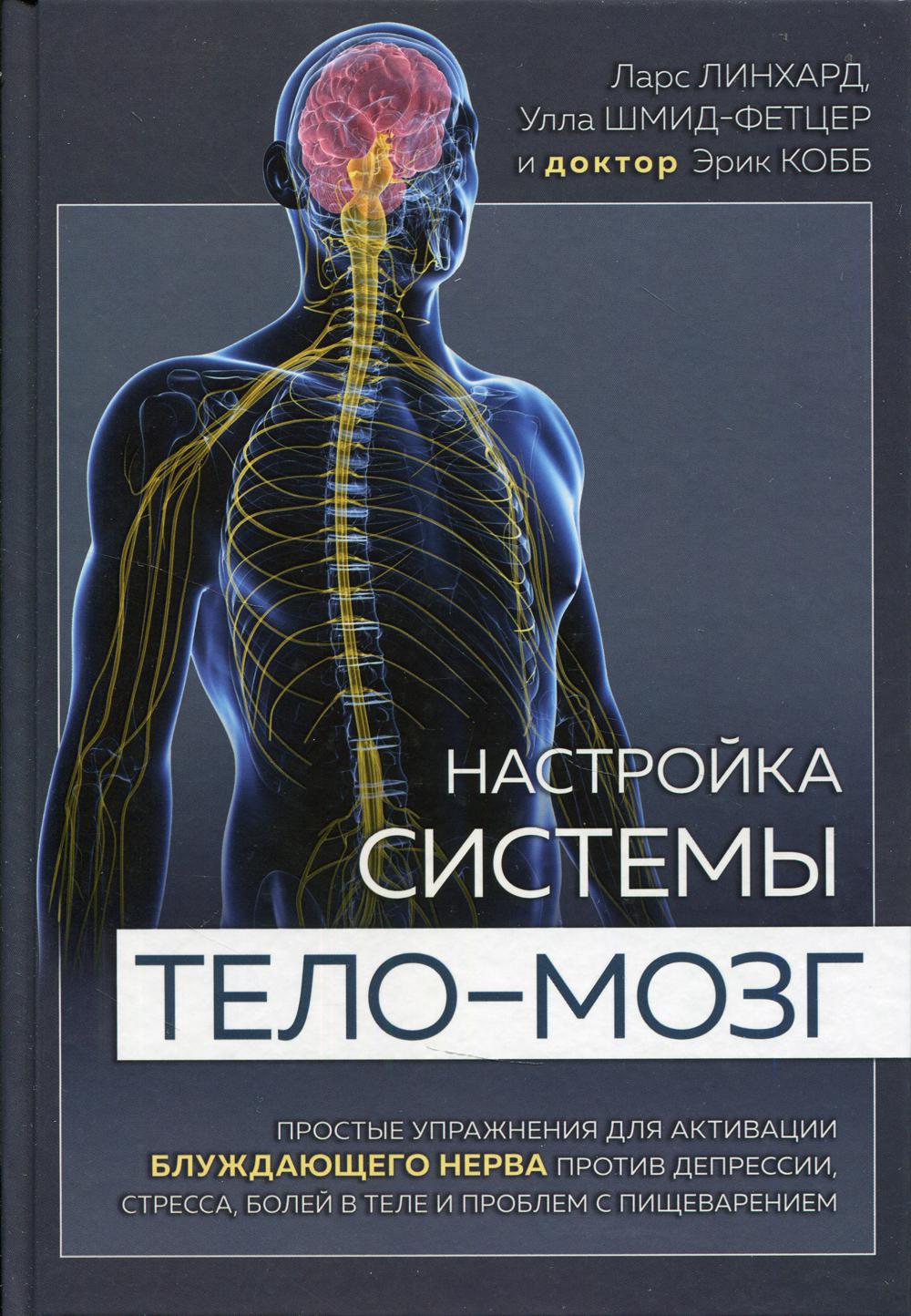 

Настройка системы тело - мозг
