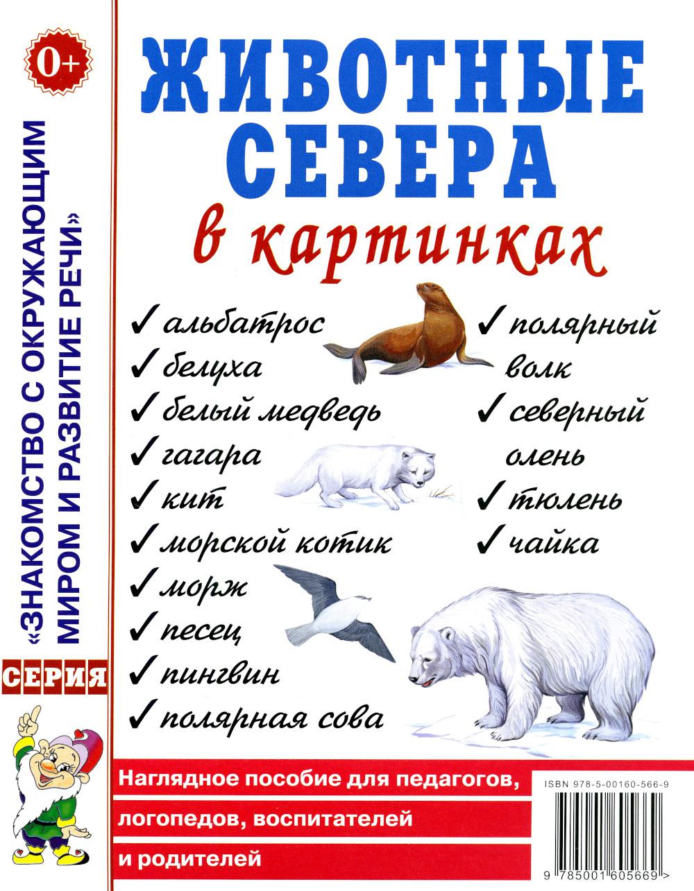 

Животные севера в картинках