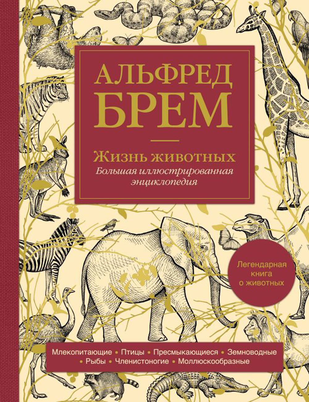 

Жизнь животных