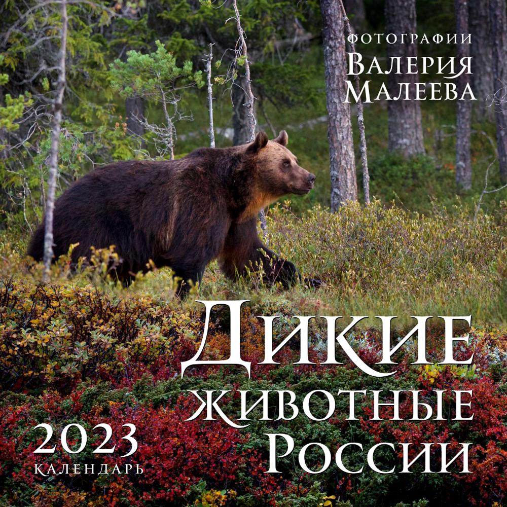

Календарь настенный Дикие животные России. Авторские фотографии Валерия Малеева