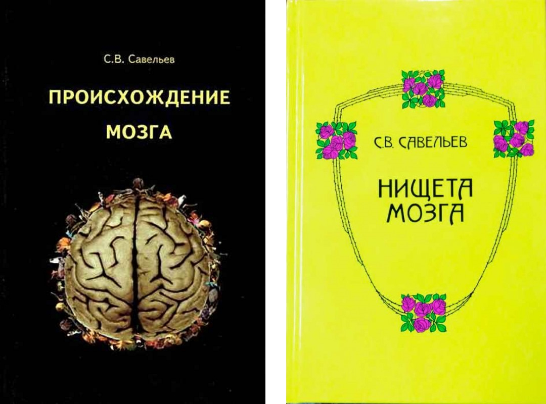 Нищета мозга книга. Происхождение мозга книги.