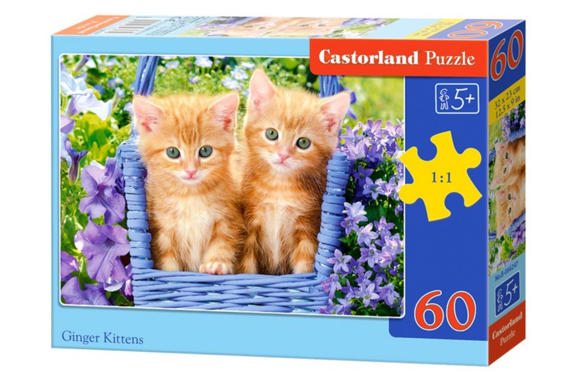 Пазл Castorland Рыжие котята, MIDI, 60 деталей, B5-066247