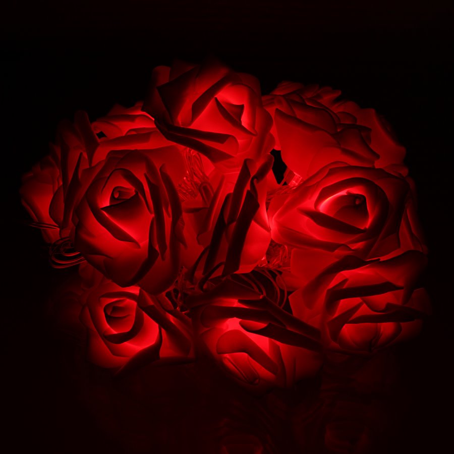 фото Световая гирлянда новогодняя disco розы 3 м красный