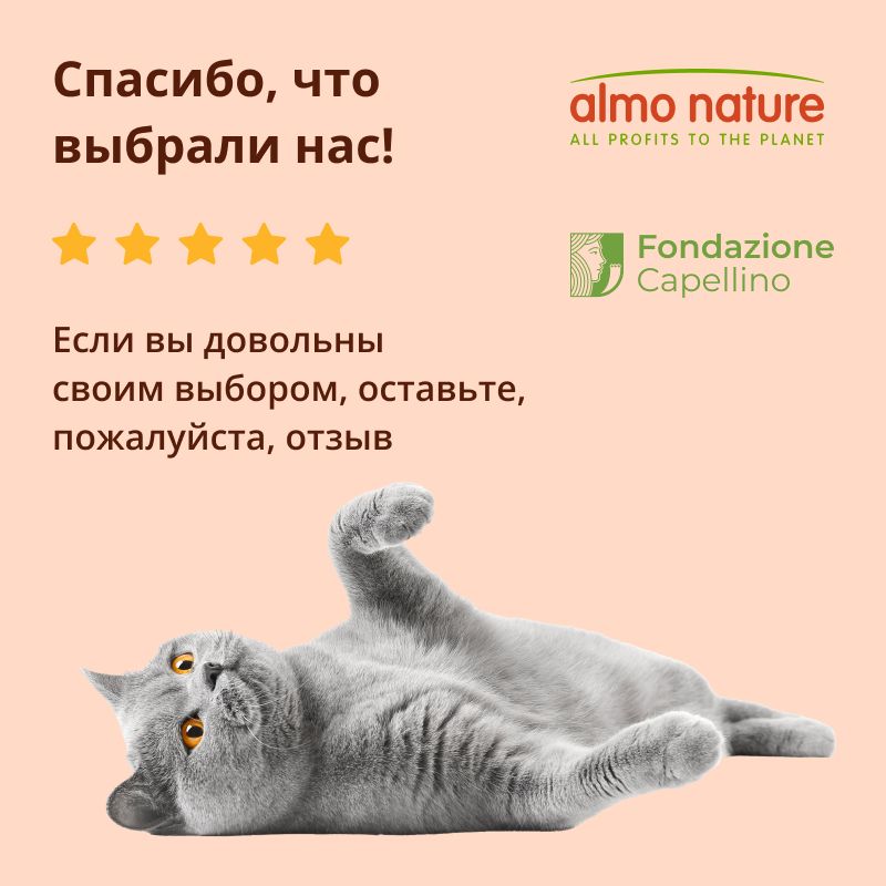 Сухой корм Almo Nature Urinary Help HolistiС с курицей для взрослых кошек 400 г 819₽