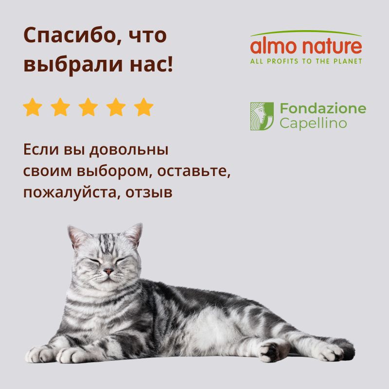 Сухой корм Almo Nature Sterilised HolistiС с говядиной для стерилизованных кошек 2 кг