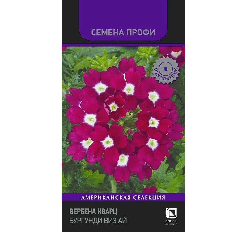 

Вербена Кварц Бургунди виз Ай (Семена Профи) 10шт (Поиск)