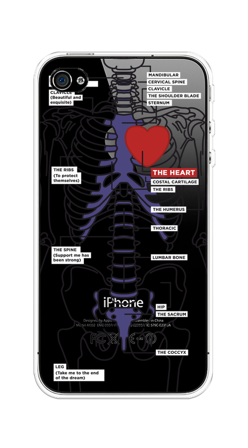 

Чехол на Apple iPhone 4/4S "Скелет человека", Прозрачный;синий;красный, 10150-1