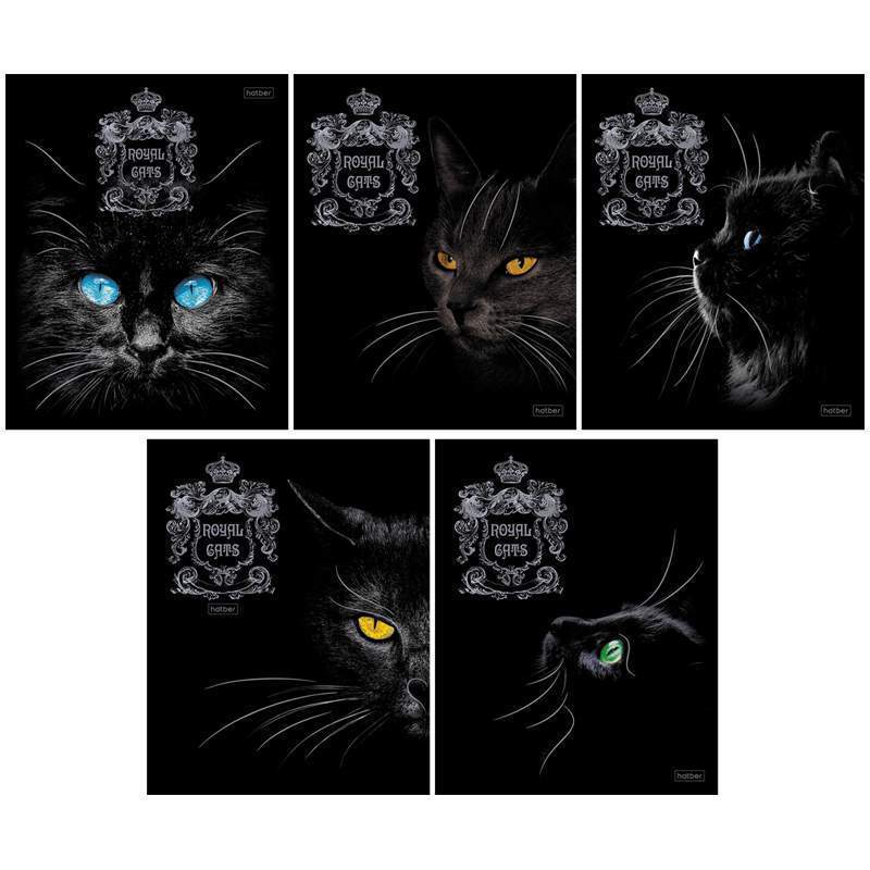 

Тетрадь Hatber Royal Cats, 317675, 48 листов, А5, клетка, 10 шт.