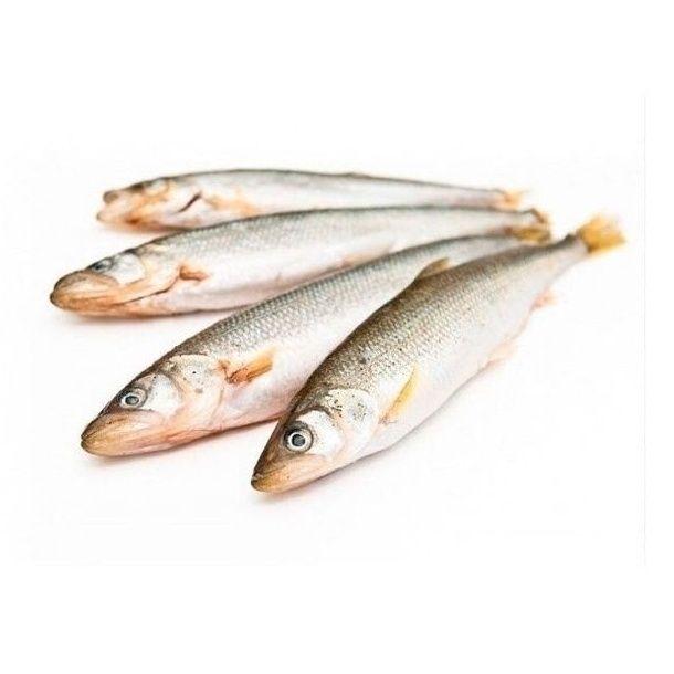 

Корюшка замороженная