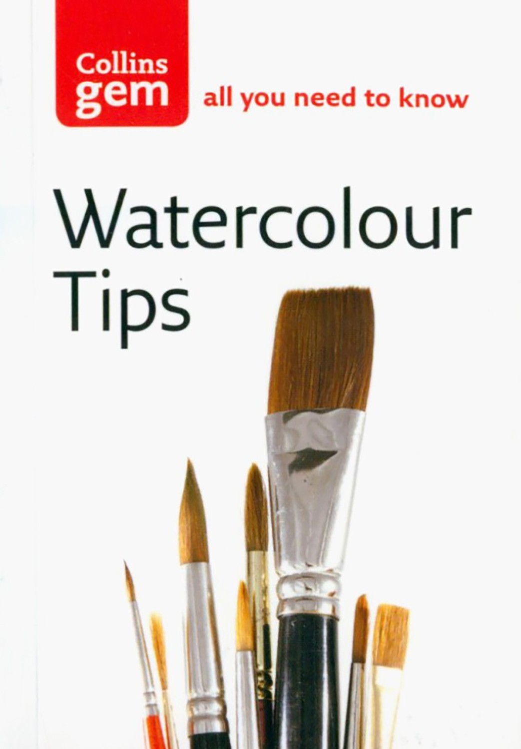 

Watercolour Tips