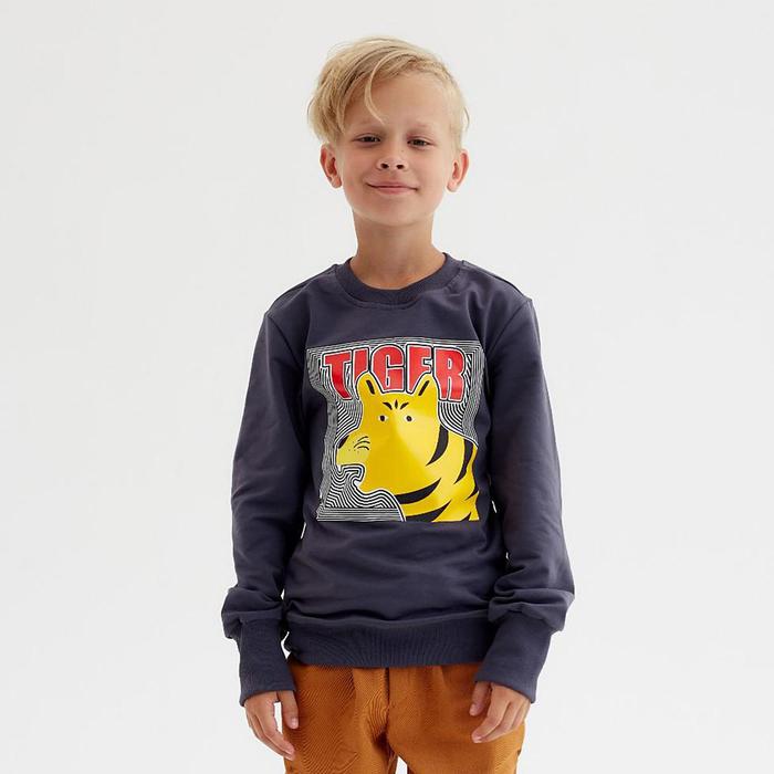 

Свитшот для мальчика MINAKU: Casual Collection KIDS цвет графит, рост 140, Серый, Casual Collection KIDS