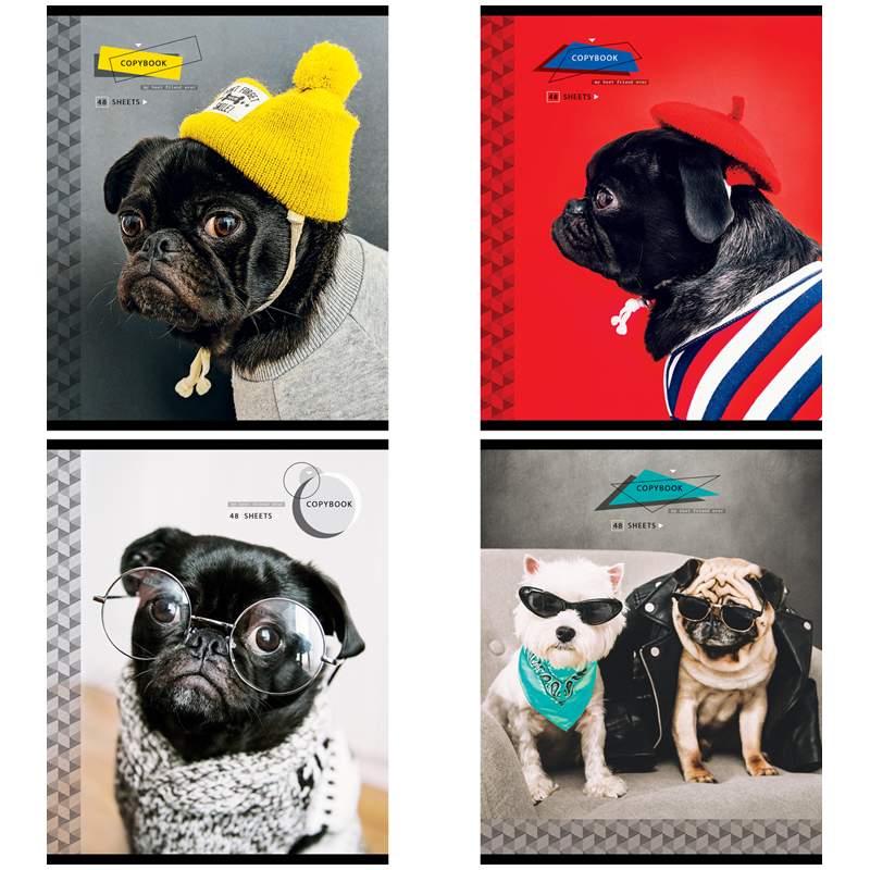 

Тетрадь 48 листов; А5; клетка ArtSpace Питомцы. Pug