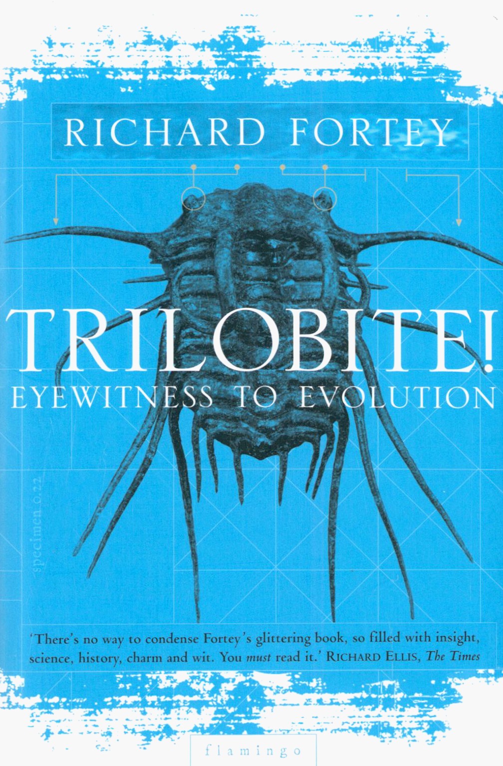 

Trilobite!