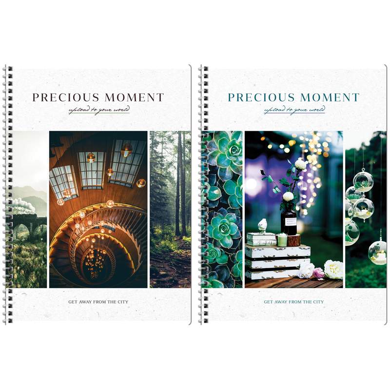 

Тетрадь ArtSpace Стиль, Precious moments, 282139, 80 листов, А4, клетка на гребне, 2 штуки