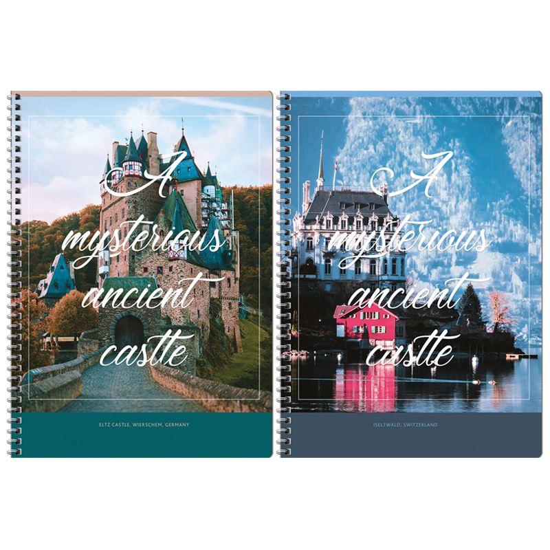 

Тетрадь ArtSpace Путешествия, Mysterious castle, 282138, 80 листов, А4, 6 шт.