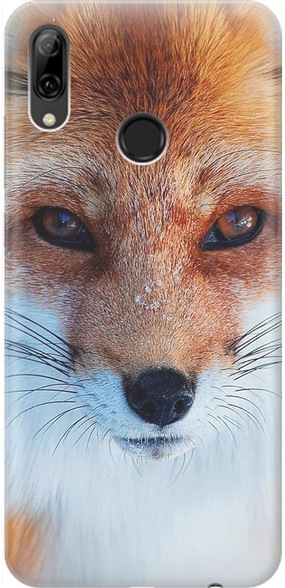 

Чехол на Honor 10 Lite/Huawei P Smart (2019) "Спокойный лис", Оранжевый;белый, 1460