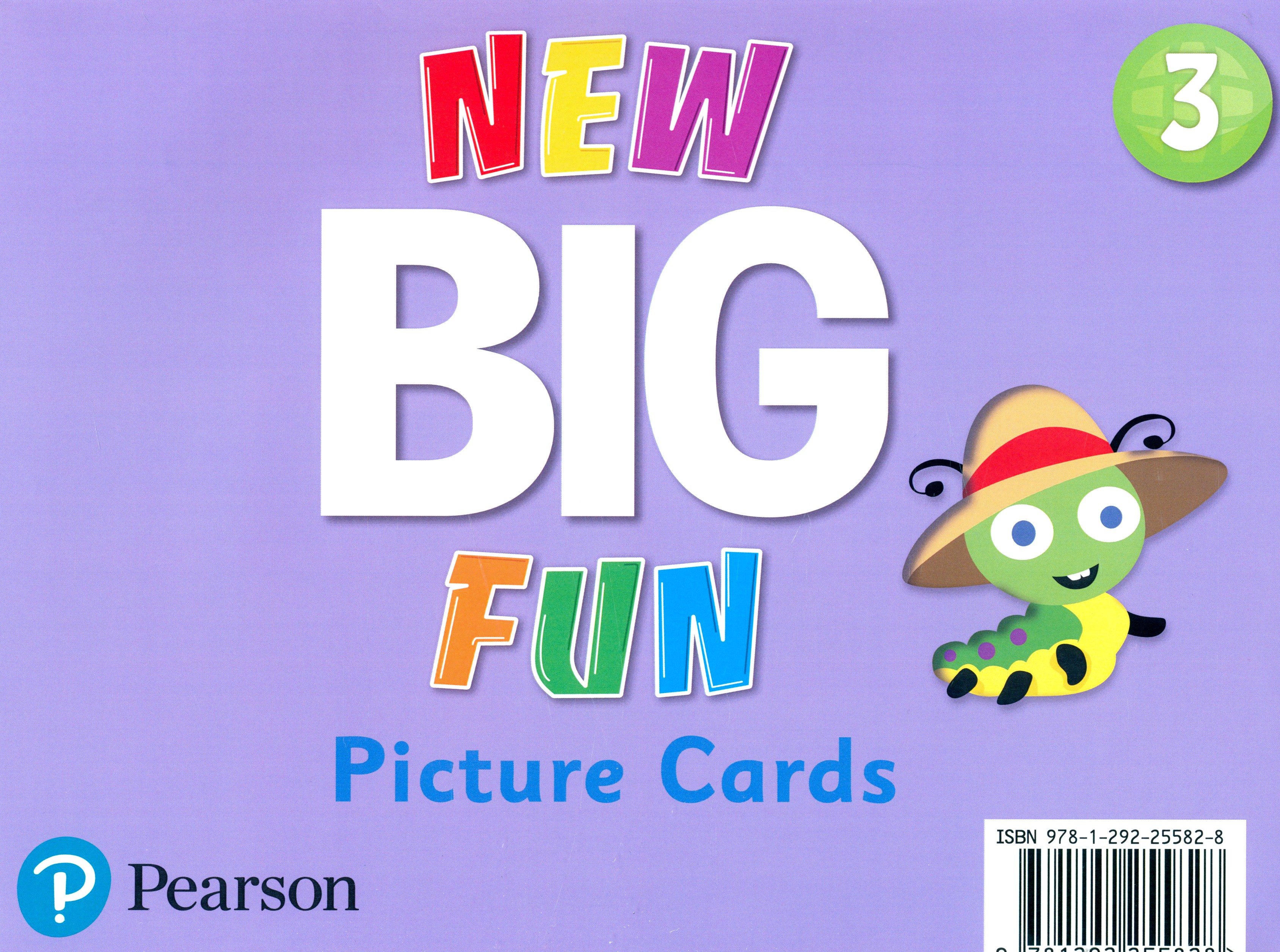 

New Big Fun Level 3 Picture Cards