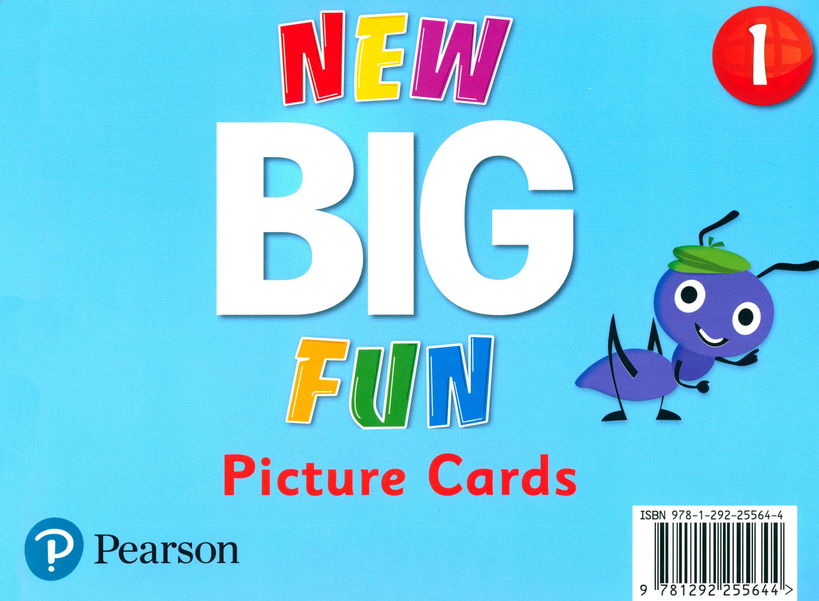 

New Big Fun Level 1 Picture Cards
