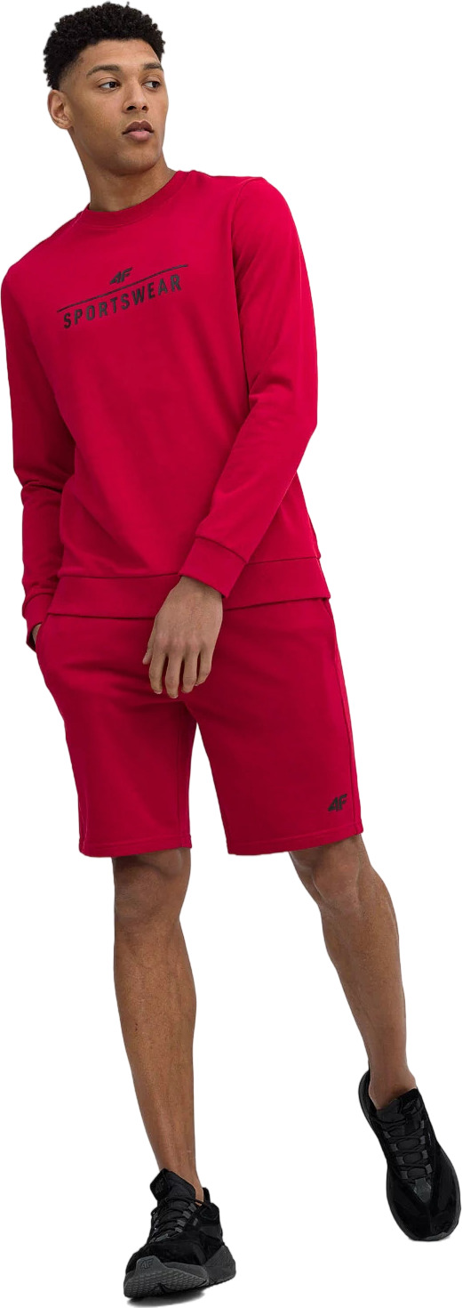 Спортивные шорты мужские SHORTS CAS M156 4F красные S