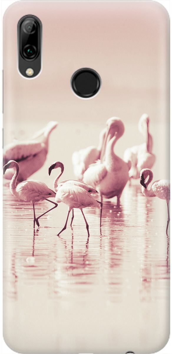 

Чехол на Honor 10 Lite/Huawei P Smart (2019) "Розовые фламинго", Белый;розовый, 1896