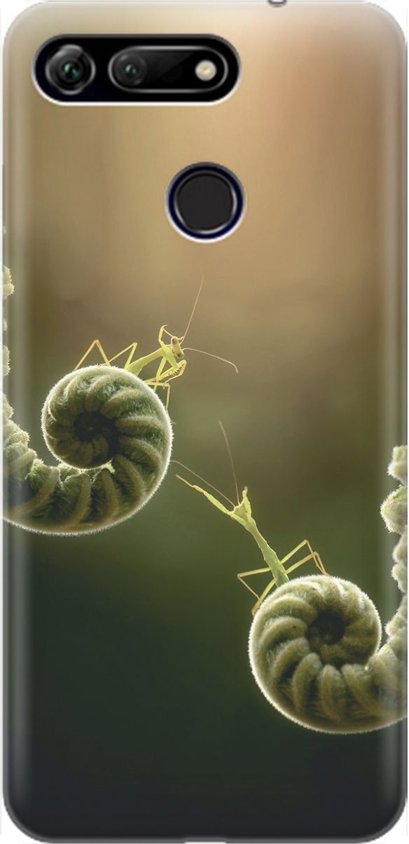 

Силиконовый чехол на Honor View 20 (V20) с принтом "Пара богомолов", Бежевый;зеленый, 1454