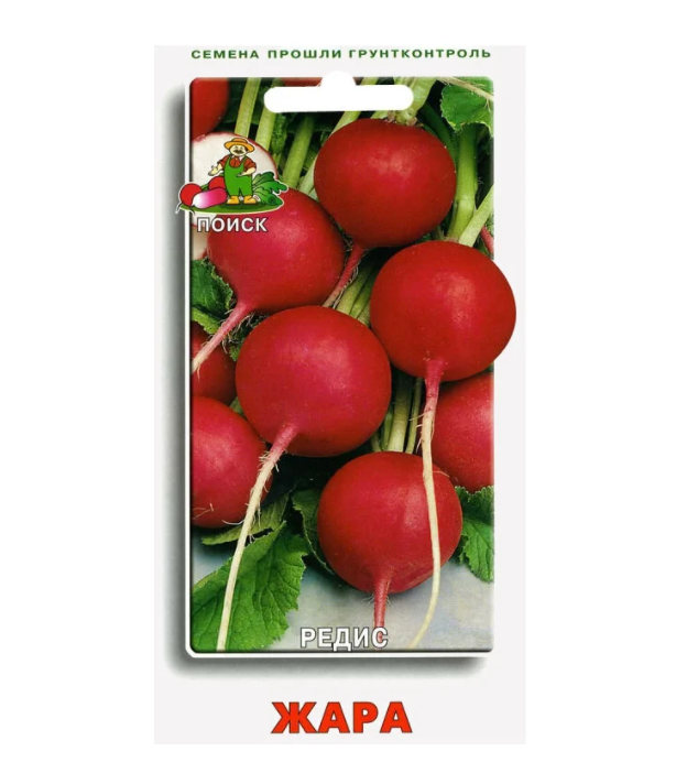 

Семена редис Жара Поиск