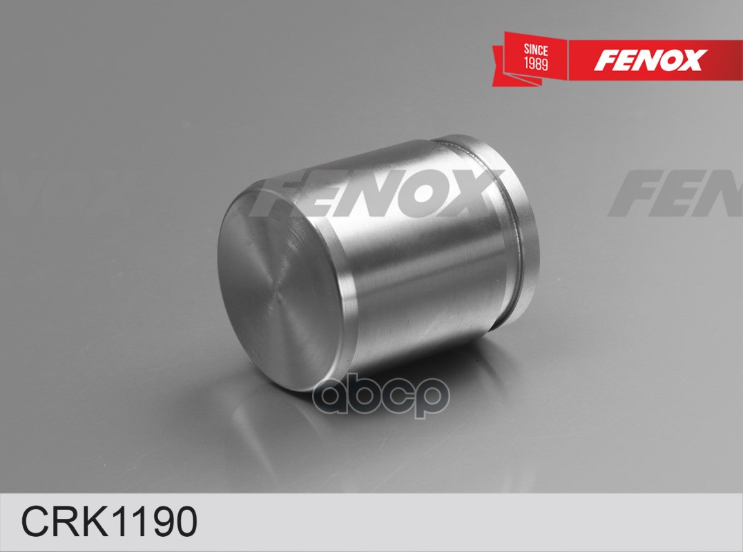 

Поршень суппорта NISSAN X-TRAIL / VW PASSAT / SCIROCCO 01- 1шт