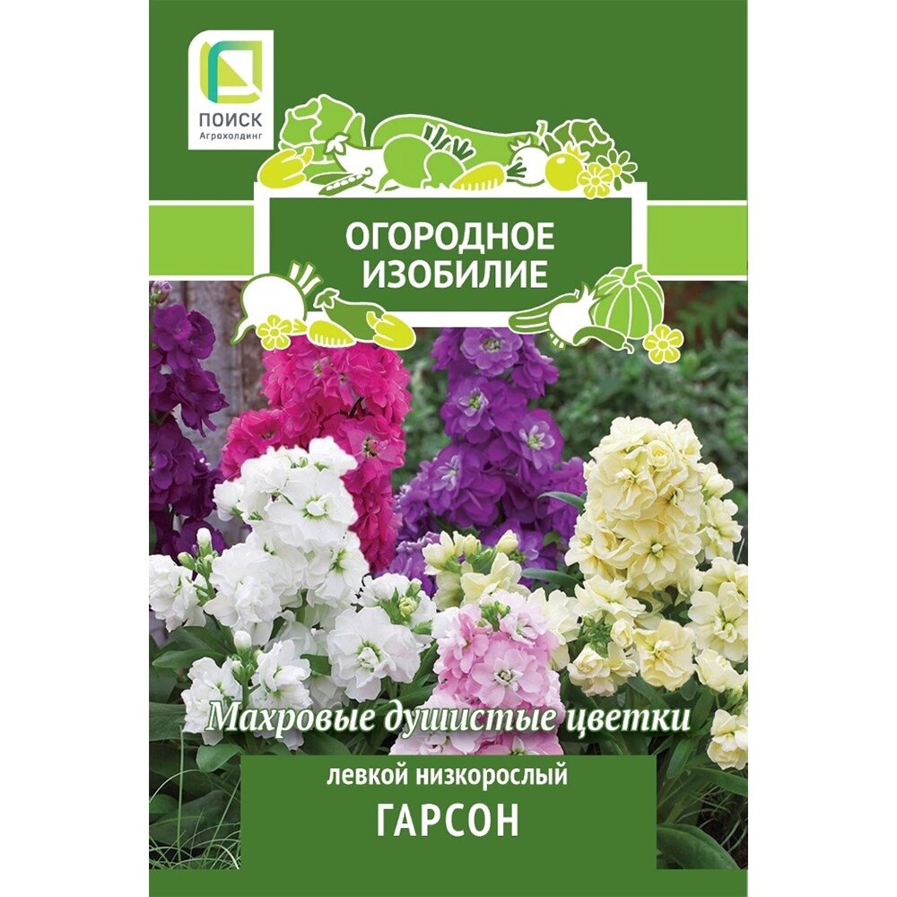 

Семена левкой Поиск Гарсон 1 уп.