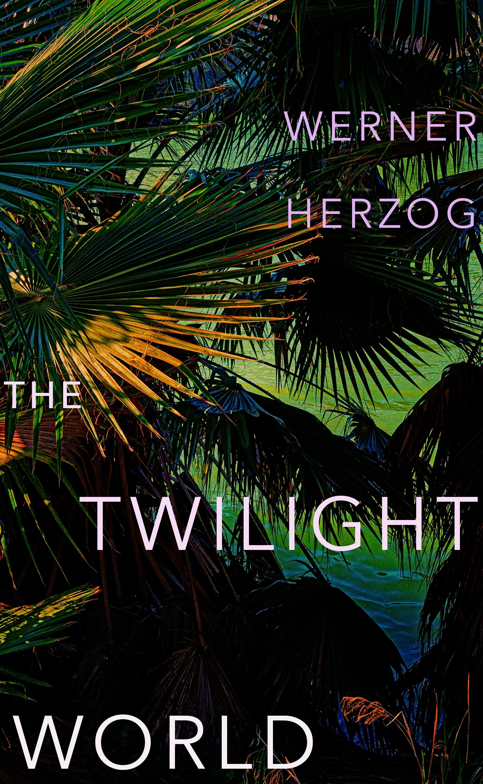 

The Twilight World