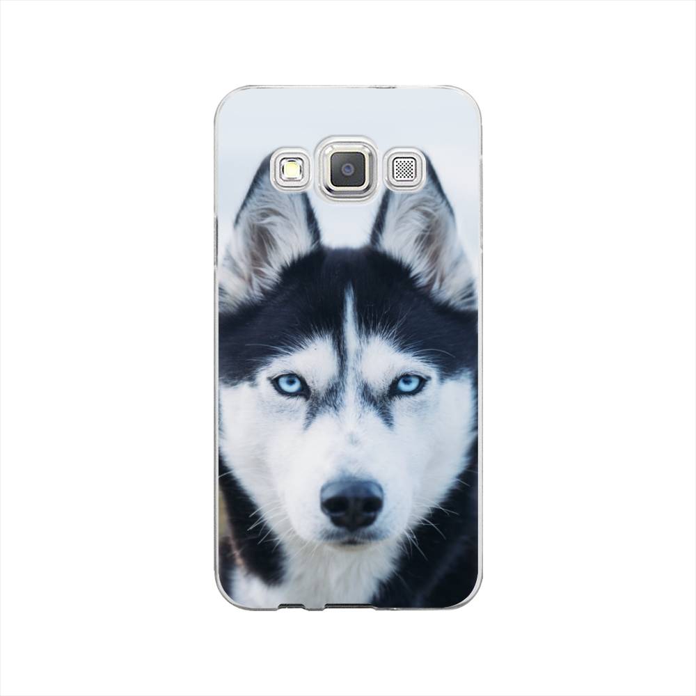

Чехол на Samsung Galaxy A3 "Хаски 2", Синий;белый, 20150-1