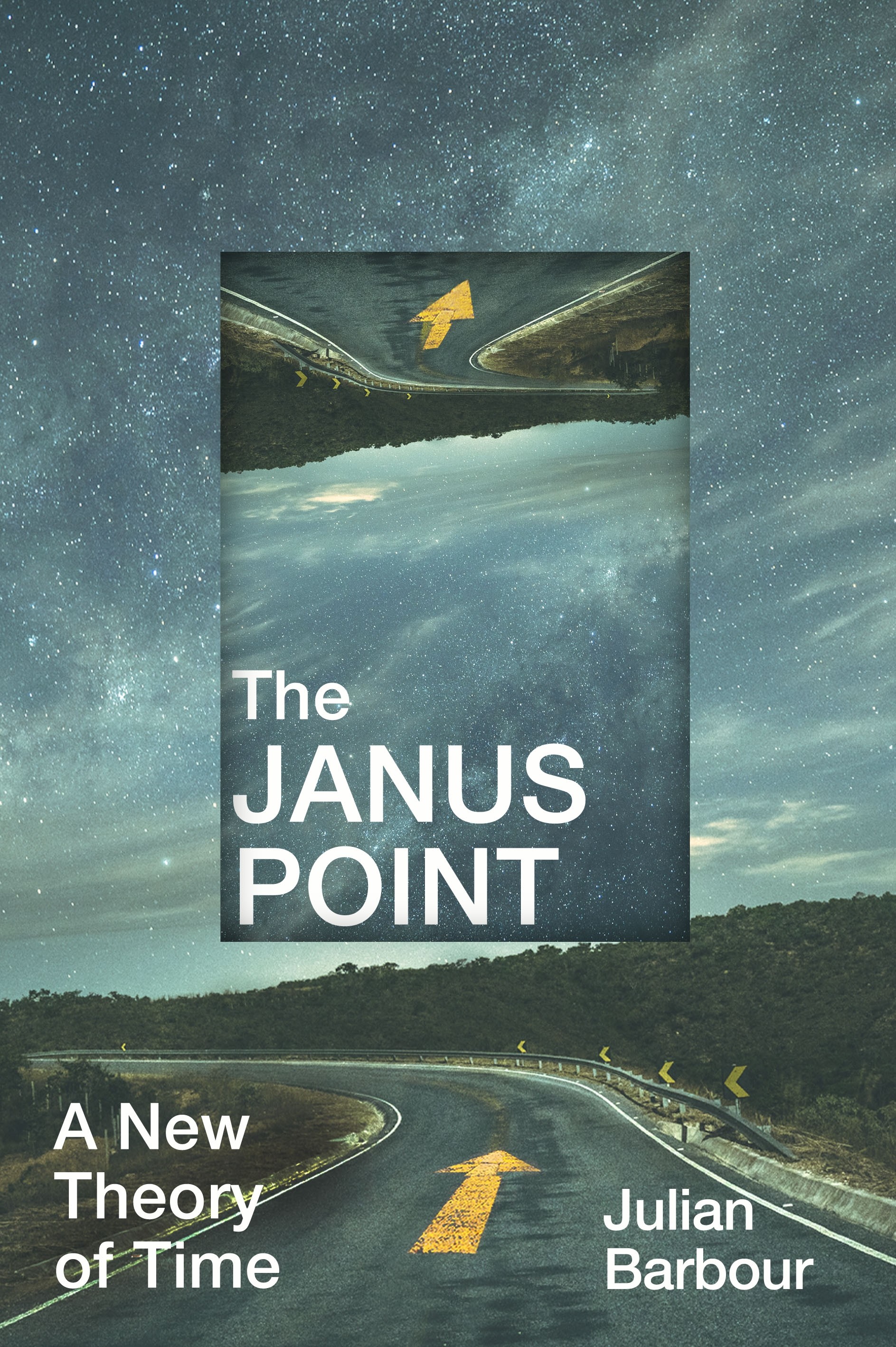 

The Janus Point A New Theory of Time