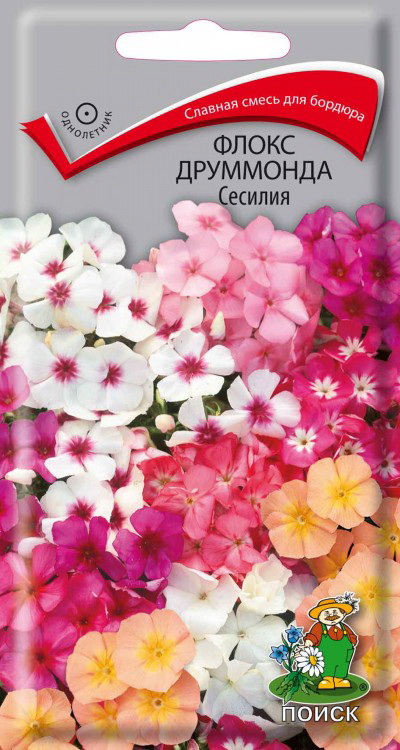 

Семена флокс Поиск Сесилия 1 уп.